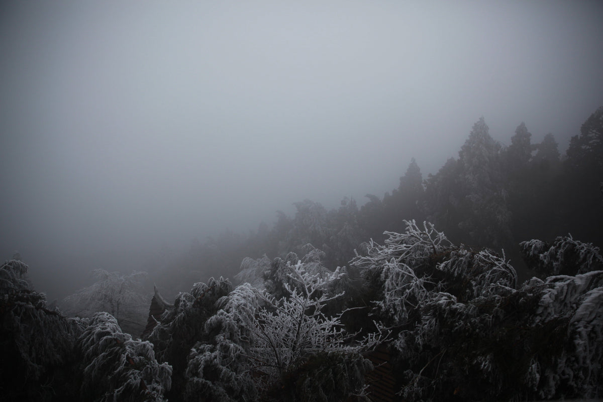 Cold Front