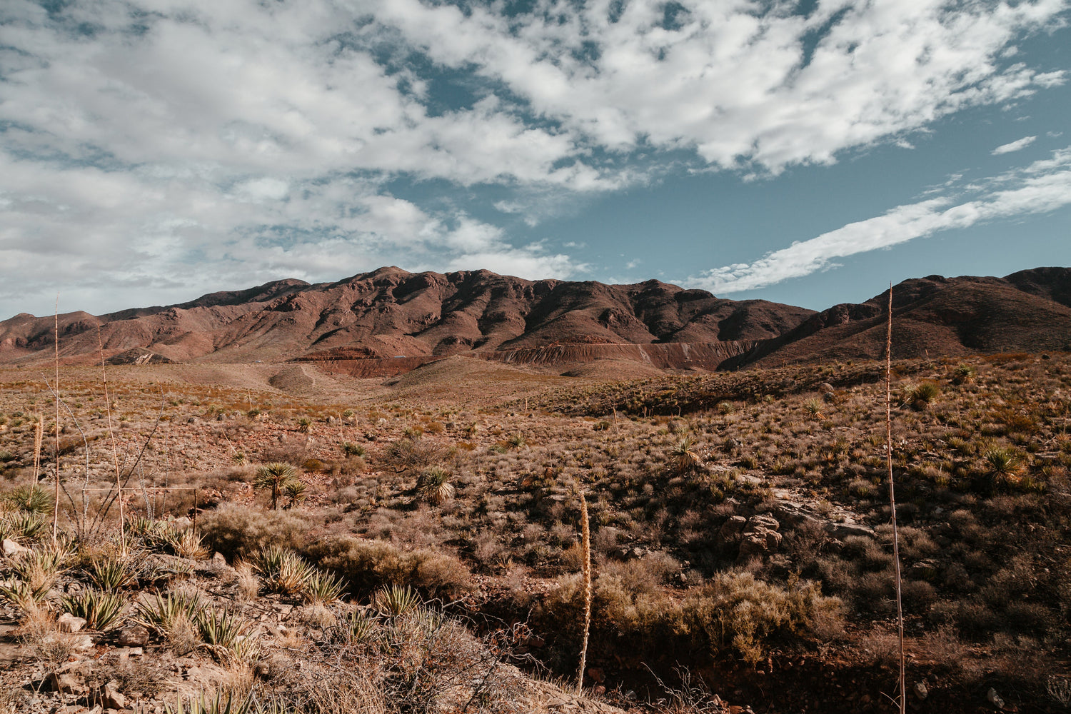 Barren